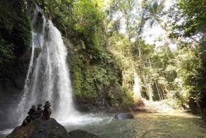 Ubud: Apenbos, tempel, rijstterrassen, verborgen waterval