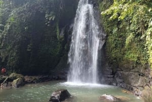 Ubud: Apenbos, tempel, rijstterrassen, verborgen waterval