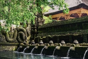 Ubud: Apenbos, tempel, rijstterrassen, verborgen waterval