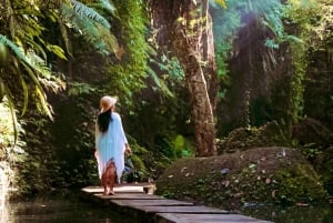 Ubud: Apenbos, tempel, rijstterrassen, verborgen waterval