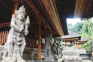 Ubud: Apenbos, tempel, rijstterrassen, verborgen waterval