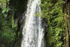 Ubud: Monkey Forest, Tempel, Rijstterrassen, Verborgen Waterval