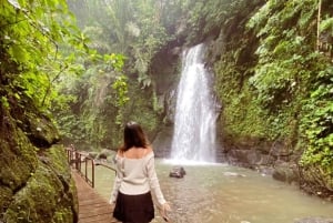 Ubud: Monkey Forest, Tempel, Rijstterrassen, Verborgen Waterval