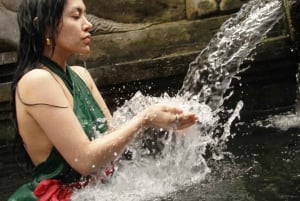 Ubud: Apekogen, tempel, risterrasser, skjult fossefall