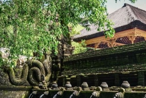 Ubud: Apekogen, tempel, risterrasser, skjult fossefall