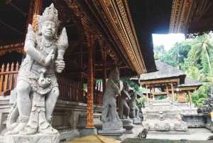 Ubud: Apekogen, tempel, risterrasser, skjult fossefall