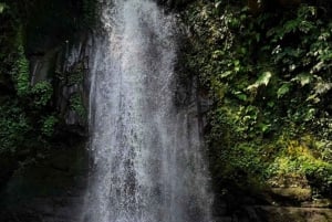 Ubud: Apekogen, tempel, risterrasser, skjult fossefall