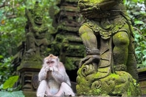 Ubud: Apekogen, tempel, risterrasser, skjult fossefall
