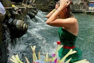 Ubud: Monkey Forest, Temple, Rice Terraces, Hidden Waterfall