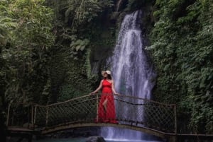 Ubud: Monkey Forest, Temple, Rice Terraces, Hidden Waterfall