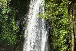 Ubud: Monkey Forest, Temple, Rice Terraces, Hidden Waterfall