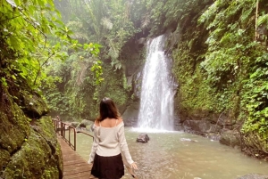 Ubud: Monkey Forest, Temple, Rice Terraces, Hidden Waterfall