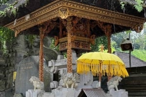 Ubud: Monkey Forest, Temple, Rice Terraces, Hidden Waterfall