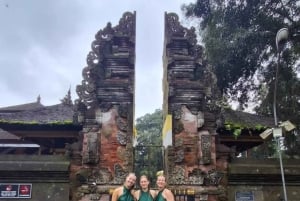 Ubud: Monkey Forest, Temple, Rice Terraces, Hidden Waterfall