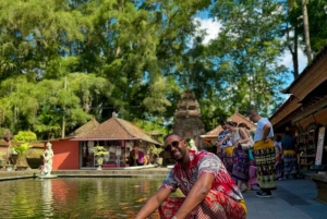 Ubud: Monkey Forest, Temple, Rice Terraces, Hidden Waterfall