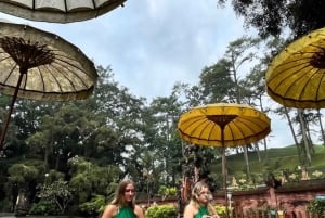 Ubud: Monkey Forest, Temple, Rice Terraces, Hidden Waterfall