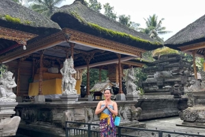 Ubud: Monkey Forest, Temple, Rice Terraces, Hidden Waterfall
