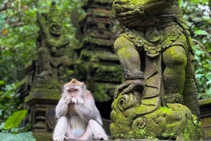 Ubud: Monkey Forest, Temple, Rice Terraces, Hidden Waterfall
