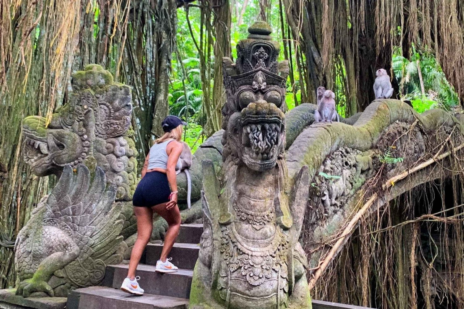 Ubud : visite de la forêt des singes, de la cascade et des rizières en terrasses