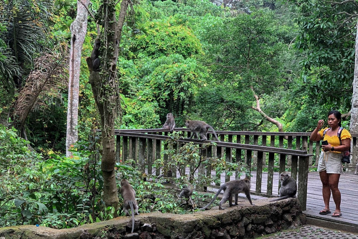Ubud: Monkey Forest, Waterfall, Water Temple & Rice Terraces