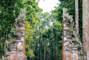 Ubud: Monkey Forest, Waterfall, Ricefield & Swing Activity
