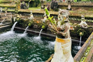 Ubud: Monkey Forest, Waterfall, Rice Terrace & Temple Tour