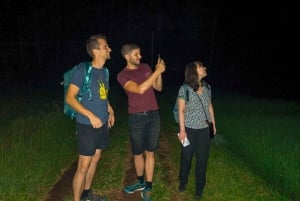 Bali: rytuały kulturowe, lokalna kuchnia i przygoda z świetlikami