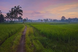 Bali: rytuały kulturowe, lokalna kuchnia i przygoda z świetlikami