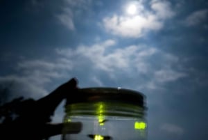 Bali: rytuały kulturowe, lokalna kuchnia i przygoda z świetlikami