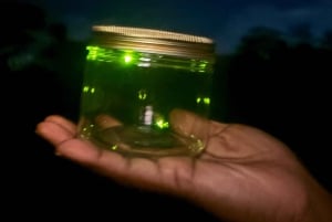 Bali: rytuały kulturowe, lokalna kuchnia i przygoda z świetlikami