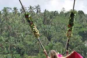 Ubud One Day Private Tour with Driver-Guide