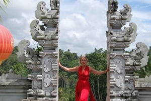 Ubud One Day Private Tour with Driver-Guide