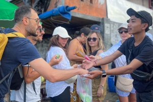 Убуд: урожай органической фермы, кулинарный мастер-класс Бали от Pemulan