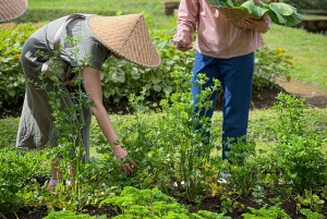 Убуд: урожай органической фермы, кулинарный мастер-класс Бали от Pemulan