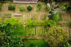 Убуд: урожай органической фермы, кулинарный мастер-класс Бали от Pemulan