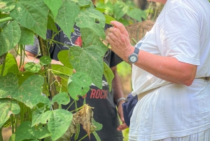 Убуд: урожай органической фермы, кулинарный мастер-класс Бали от Pemulan