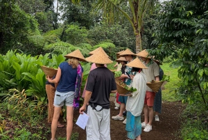 Убуд: урожай органической фермы, кулинарный мастер-класс Бали от Pemulan