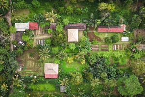 Убуд: урожай органической фермы, кулинарный мастер-класс Бали от Pemulan