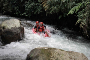 Ubud: Avventura in tubing nella giungla di Pakerisan con pranzo