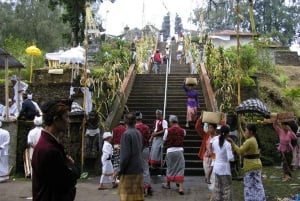 Ubud: Alas Harum, tempel och vattenfall på Bali – privat tur