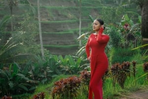 Ubud: Photography Private Tour Rice Terrace Waterfall Swing