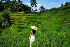 Ubud: Photography Private Tour Rice Terrace Waterfall Swing