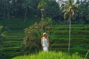Ubud: Photography Private Tour Rice Terrace Waterfall Swing