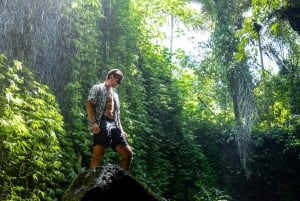 Ubud: Photography Private Tour Rice Terrace Waterfall Swing