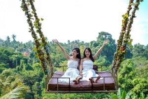 Ubud: Photography Private Tour Rice Terrace Waterfall Swing