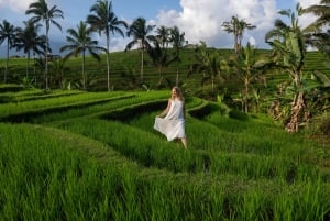 Ubud: Photography Private Tour Rice Terrace Waterfall Swing