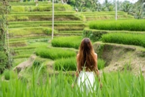 Ubud Photography Tour: Swing, Waterfall & Rice Terrace