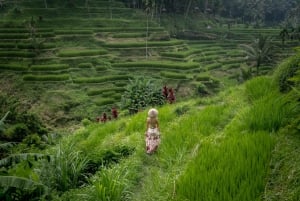 Ubud Photography Tour: Swing, Waterfall & Rice Terrace