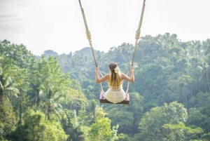 Ubud Photography Tour: Swing, Waterfall & Rice Terrace