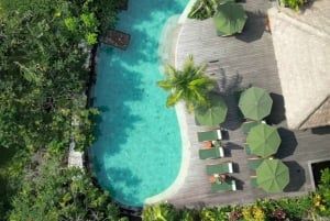 Ubud: Poolside Dining at Tropical Oasis Bar E‑Voucher